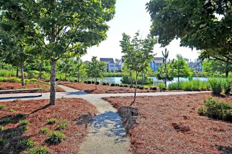 208 Springrise Lane Summerville SC 29486