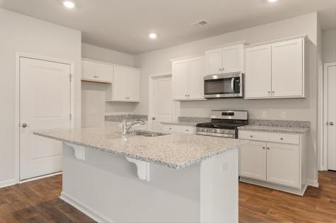 241 Sweet Cherry Lane Summerville SC 29486