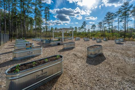 322 Autumn Azalea Way Summerville SC 29486