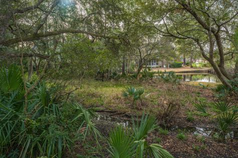 509 Chimney Bluff Drive Mount Pleasant SC 29464