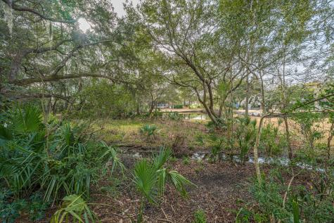 509 Chimney Bluff Drive Mount Pleasant SC 29464