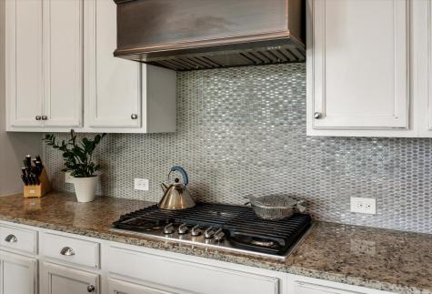 2072 Amenity Park Drive Mount Pleasant SC 29466