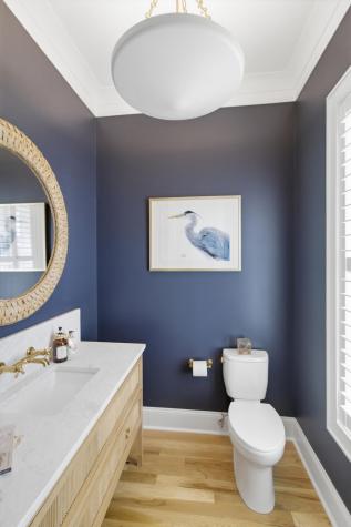 3853 Delinger Drive Mount Pleasant SC 29466