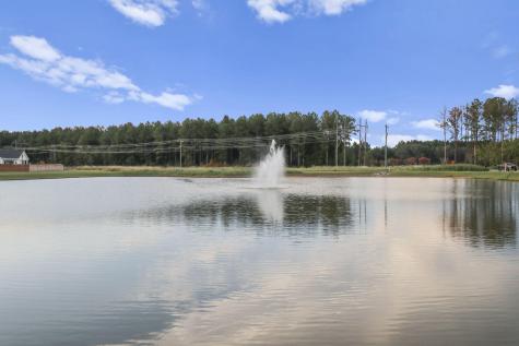 126 Paddle Boat Way Summerville SC 29485