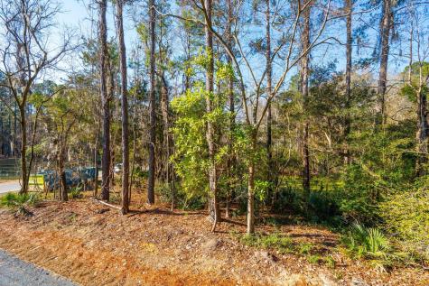 3162 Vanessa Lynne Lane Johns Island SC 29455