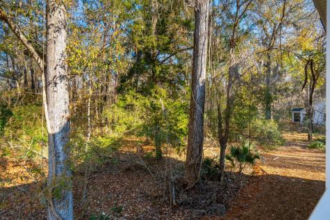 3162 Vanessa Lynne Lane Johns Island SC 29455