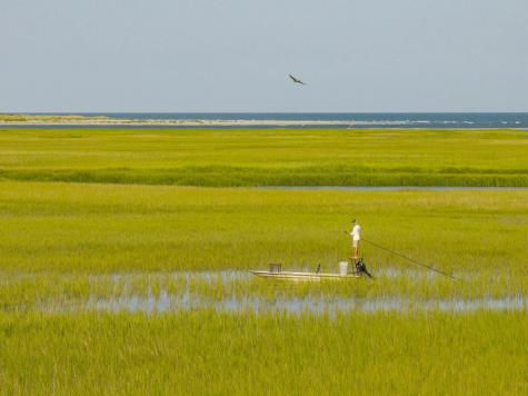 2924 Baywood Drive Seabrook Island SC 29455