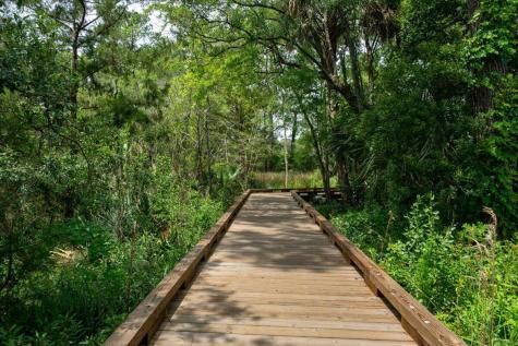 606 White Cap Court Charleston SC 29492