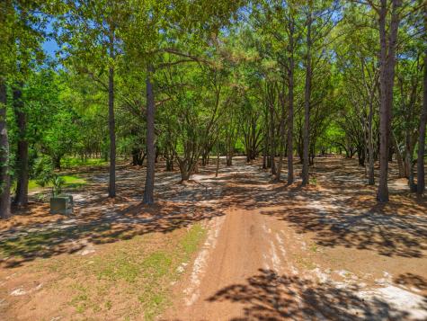 8730 Marsh Aire Lane Edisto Island SC 29438