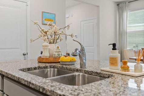655 Silver Spruce Street Summerville SC 29486