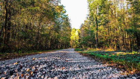 240 Groomsville Road Moncks Corner SC 29461