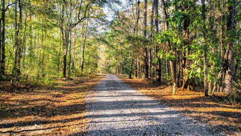 240 Groomsville Road Moncks Corner SC 29461