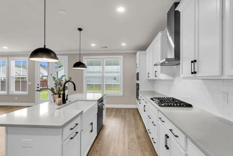 687 Black Pine Road Moncks Corner SC 29461