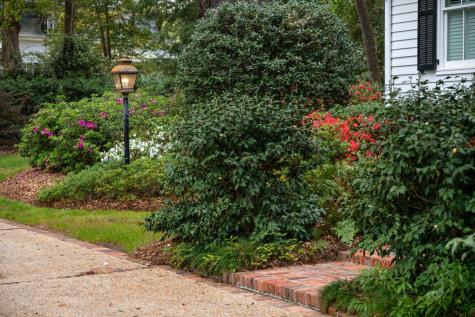 500 Central Avenue Summerville SC 29483