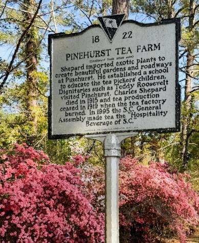 113 Tea Farm Road Summerville SC 29483
