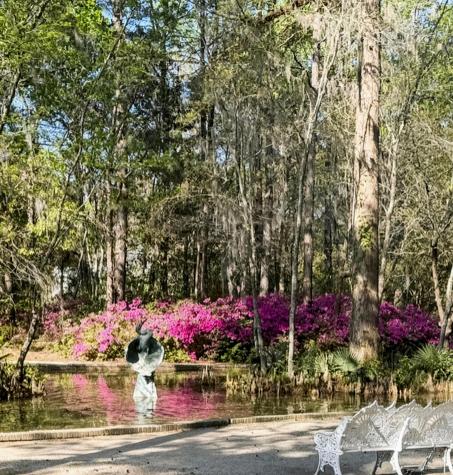 113 Tea Farm Road Summerville SC 29483