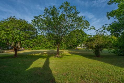 2935 Dove Haven Court Court Charleston SC 29414
