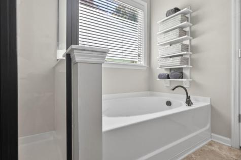 257 Weeping Cypress Drive Moncks Corner SC 29461