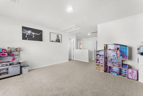 119 Green Passage Lane Summerville SC 29486