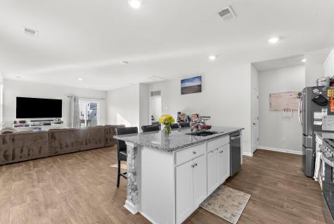 119 Green Passage Lane Summerville SC 29486