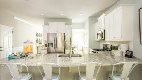 1054 Red Turnstone Run Summerville SC 29485