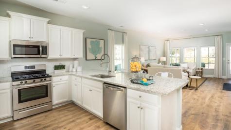 1054 Red Turnstone Run Summerville SC 29485