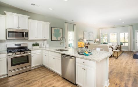 1054 Red Turnstone Run Summerville SC 29485