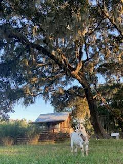 1661 Lonnie Taylor Lane Wadmalaw Island SC 29487