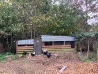 1661 Lonnie Taylor Lane Wadmalaw Island SC 29487