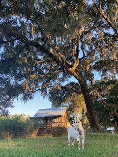 1661 Lonnie Taylor Lane Wadmalaw Island SC 29487