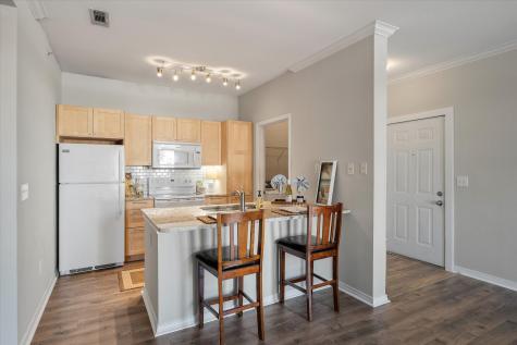 130 River Landing Drive Daniel Island SC 29492