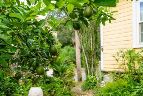 120 W Hudson Avenue Folly Beach SC 29439