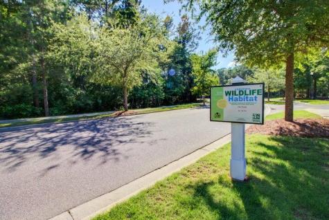 119 Cherry Grove Drive Summerville SC 29483