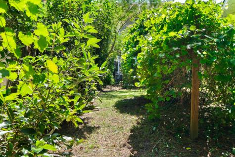 1172 Landau Lane Mount Pleasant SC 29466