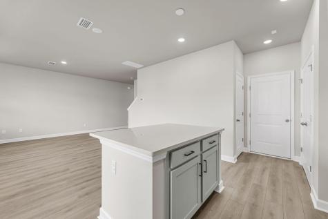 4019 Lemon Grass Lane Ravenel SC 29470