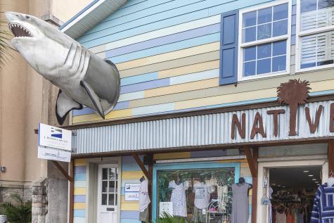 504 E Cooper Avenue Folly Beach SC 29439