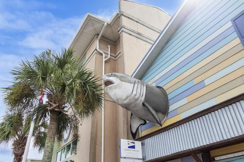504 E Cooper Avenue Folly Beach SC 29439