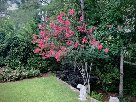 4278 Home Town Lane Ravenel SC 29470