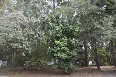 1042 Highway 174 Edisto Island SC 29438