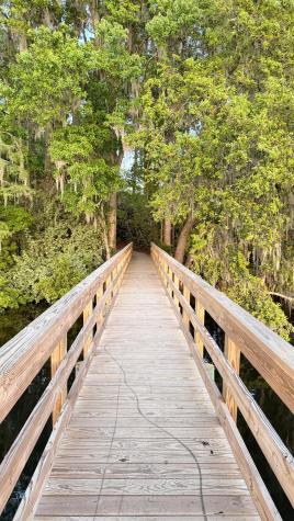 1040 Old Cypress Run Hanahan SC 29410