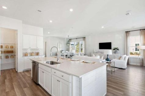 192 Sea Oats Street Summerville SC 29485