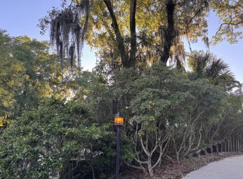 705 Sandpiper Ridge Edisto Island SC 29438