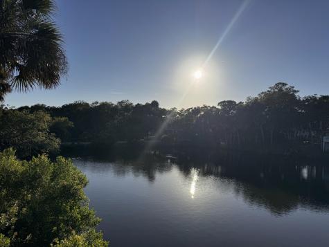 705 Sandpiper Ridge Edisto Island SC 29438