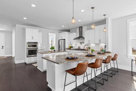 294 Great Lawn Drive Summerville SC 29486