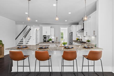 294 Great Lawn Drive Summerville SC 29486