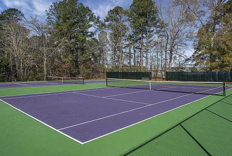307 Pimpernel Street Summerville SC 29483