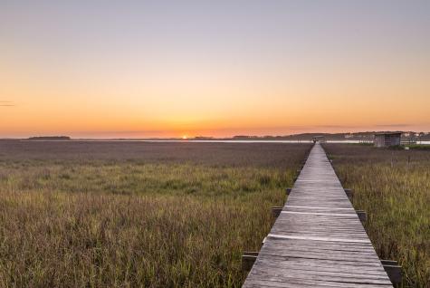 1024 W Ashley Avenue Folly Beach SC 29439