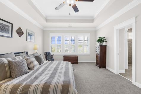 3798 Maidstone Drive Mount Pleasant SC 29466