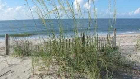 7 Gun Bluff Road Edisto Island SC 29438
