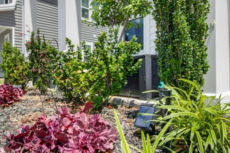 202 Narrowleaf Avenue Summerville SC 29485